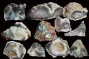 agate dendritic0001.jpg